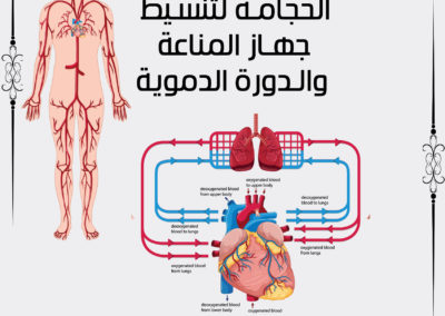 الحجامة تعمل على تنشيط جهاز المناعة و تنشيط الدورة الدموية